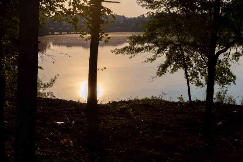 The trees along the shore at Lakeside Lodge are silhouetted by the soft morning sun.